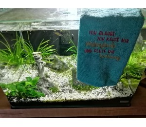 Stickserie - Putzfrau Sprüche